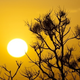 Image for article titled Shooting Challenge Sunset Gallery 3